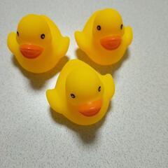 アヒル　3個