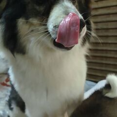 3歳男の子