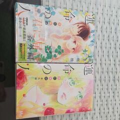 君に届け　番外編　運命の人　1巻　2巻