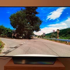 大幅値下げ【ほぼ新品】LG 48型 4Kチューナー内蔵 有機EL テレビ OLED 48CXPJA Alexa 搭載 2020 年モデル（5年延長保証つき）