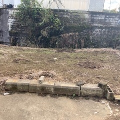 フリーレント！駐車場つき地下室つき一軒家！ - 賃貸（マンション/一戸建て）