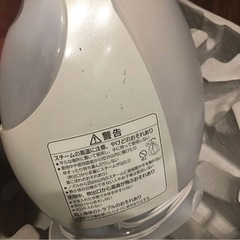 お迎えされました　フェイスイオンスチーマーの画像