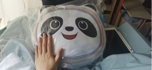 ビンドゥンドゥン 抱き枕クッション