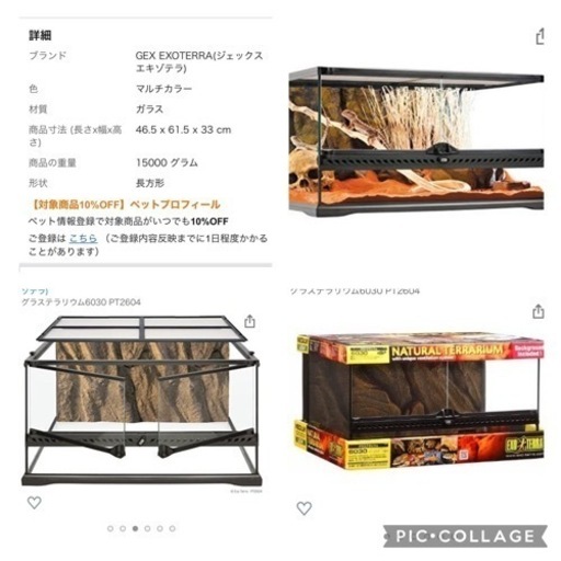 爬虫類　飼育セット　グラステラリウム