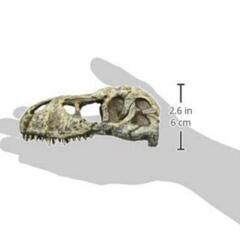 GEX シェルター スカル 爬虫類用品 アクアリウム テラリウムの画像