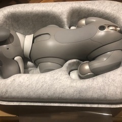 aibo