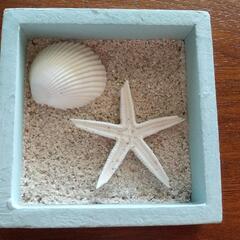 🏖️マリングッズ⛵️　３つで🎵の画像