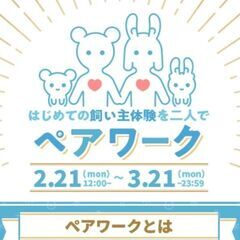 オンライン協力