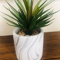 IKEA 観葉植物 インテリア 