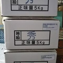 生産者直売　贈答用箱入り長芋秀品５ｋの画像