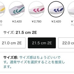 [ムーンスター] 上履き 一足500円　18~25cm  バイオTEF　うわばき　の画像