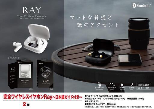 Bluetooth 完全ワイヤレスイヤホン RAY ワイヤレスイヤホン イヤフォン