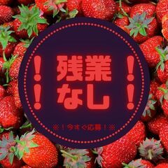 ●大募集●3t食品配送ドライバー◎22時～でガッツリ収入♪定時退...