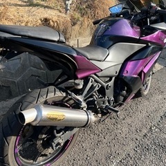 ninja250r 急募　手元22まで考えます！の画像