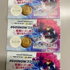高鷲　ダイナ　割引券　3枚