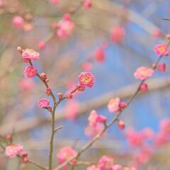 写真、動画好きな人🙋 − 石川県
