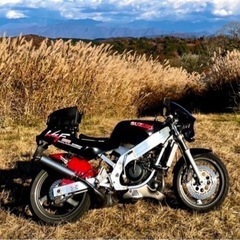 売ります！スズキ　ウルフ250 VJ21A 自賠責有り