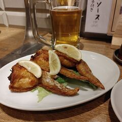 メンバー募集します🐱 - 名古屋市