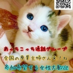 LINEグルメンバー募集