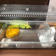 取引先確定☆ハムスターケージ