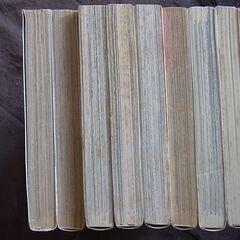 仏ゾーン　釣りに行こうよ！　Big waver　全巻セット　漫画の画像