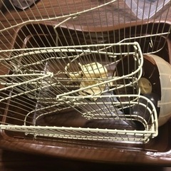取引先  確定お値下げ☆ハムスターケージ  ジャンガリアン用