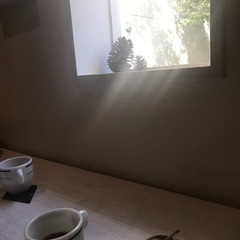 ヨガセッション(オンライン) 参加者募集の画像