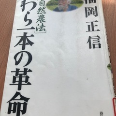 ヨガセッション(オンライン) 参加者募集の画像
