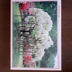 ジグソーパズル1000ピース各種（１）