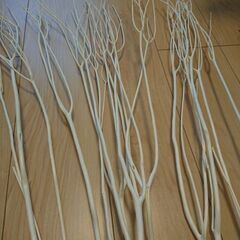 ミツマタ　ドライフラワー