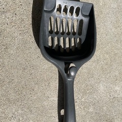 【決まりました】猫用トイレの画像