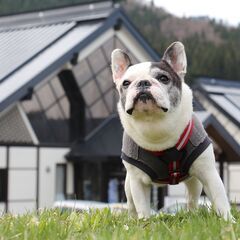 ＜隙間時間の日中短時間勤務OK！＞簡単なフロント受付業務の画像