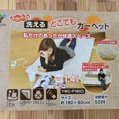 ふかふか洗えるどこでもカーペット