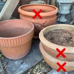 中古　テラコッタ鉢お譲り致します　残り1鉢