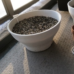 【お譲り先が決まりました】フェンス 目隠し 木製 プランター付きラティス付きプランターボックス おしゃれの画像