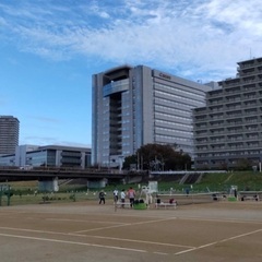 レッツ・エンジョイ・テニス🎾　※テニス好きな男女ウェルカム✨ - 大田区