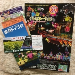 ☆★「東京ドイツ村」入園ご招待券･園内パンフレットです★☆