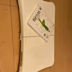 Wii fit