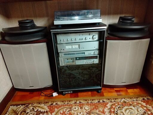 Technics SB-E100 ホーンスピーカー
