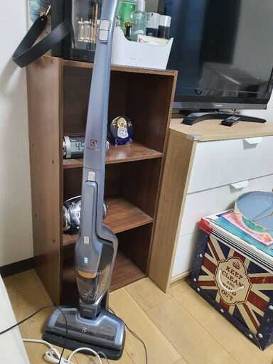 \u003c至急\u003eElectrolux 掃除機 ergorapido ZB3311