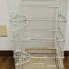 セレクトケージ  CASA