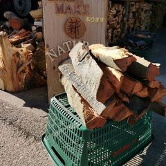🔥HIASOBI ナチュラルウッド　ツバキ薪　庭木の帝王　キャンプ⛺薪