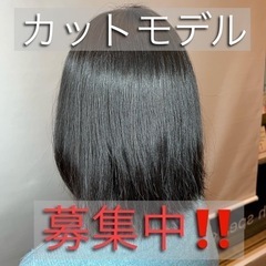 カットモデル募集‼️