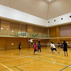 次回6/5夜☆エンジョイバレーボールin渋谷区🏐経験・性別不問♪ - 川崎市