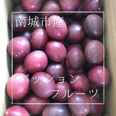 沖縄パッションフルーツ