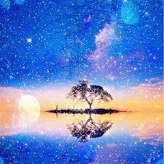 夜、平和通り付近散歩しませんか？