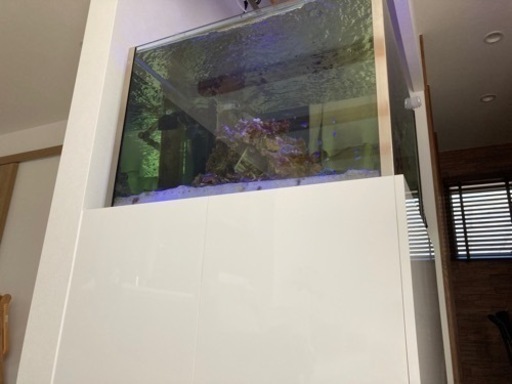 【値下げ】オーバーフローセット(ガラス水槽)売ります。