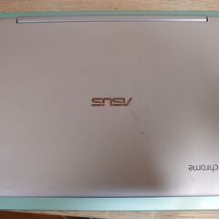 Chromebook　C101P