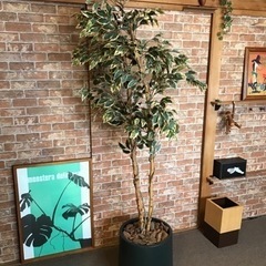 人工観葉植物 フィカス 180cm 大型 造花