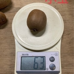 ☆キウイフルーツ小粒〜中玉　1パック【追熟要】②☆の画像
